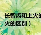長智齒和上火的癥狀有什么不同（長智齒和上火的區(qū)別）
