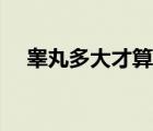 睪丸多大才算正常（睪丸多大算是正常）