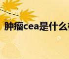 腫瘤cea是什么檢查（腫瘤CEA是什么意思）