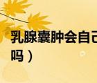 乳腺囊腫會(huì)自己破了嗎（乳腺囊腫會(huì)自己消失嗎）