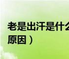老是出汗是什么原因怎么辦（老是出汗是什么原因）