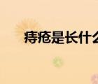 痔瘡是長什么樣子（痔瘡是長什么樣）