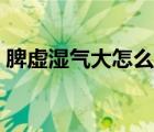 脾虛濕氣大怎么治療（脾虛濕氣大怎么調(diào)理）