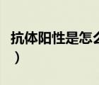抗體陽性是怎么引起的（抗體陽性是怎么回事）