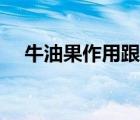 牛油果作用跟功效（牛油果作用與功效）