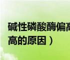 堿性磷酸酶偏高的原因及危害（堿性磷酸酶偏高的原因）