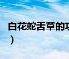 白花蛇舌草的功效（白花蛇舌草的功效與作用）
