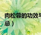 肉松蓉的功效與作用吃法（肉松蓉的功效與禁忌）