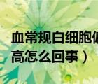 血常規(guī)白細(xì)胞偏高怎么回事（血常規(guī)白細(xì)胞偏高怎么回事）