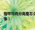 指甲與肉分離是怎么回事幾天恢復(fù)（指甲與肉分離是怎么回事）