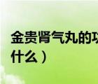 金貴腎氣丸的功效組方（金貴腎氣丸的功效是什么）