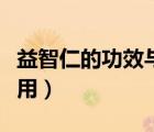 益智仁的功效與作用禁忌（益智仁的功效與作用）