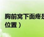 胸前窩下面疼是怎么回事（胸口窩上面疼是啥位置）