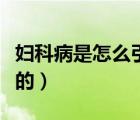 婦科病是怎么引起的文章（婦科病是怎么引起的）