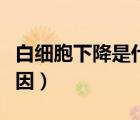 白細胞下降是什么感染（白細胞下降是什么原因）