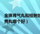 金匱腎氣丸和桂附地黃丸哪個(gè)治早泄（金匱腎氣丸和桂附地黃丸哪個(gè)好）