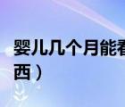 嬰兒幾個月能看見東西（嬰兒幾個月能看見東西）