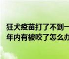 狂犬疫苗打了不到一年,在被咬了要怎么打（打過狂犬疫苗一年內(nèi)有被咬了怎么辦）