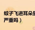 蚊子飛進(jìn)耳朵里了怎么解決（蚊子飛進(jìn)耳朵里嚴(yán)重嗎）