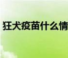 狂犬疫苗什么情況打（狂犬疫苗什么時候打）