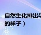 自然生化排出孕囊的征兆（自然生化排出孕囊的樣子）