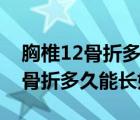 胸椎12骨折多久可以上班干體力活（胸椎12骨折多久能長好）