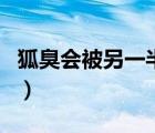 狐臭會被另一半嫌棄嗎知乎（狐臭會被傳染嗎）