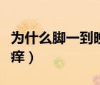為什么腳一到晚上就痛（為什么腳一到晚上就癢）