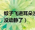 蚊子飛進(jìn)耳朵沒(méi)動(dòng)靜大力吸氣（蚊子飛進(jìn)耳朵沒(méi)動(dòng)靜了）