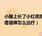 小腿上長(zhǎng)了小紅疙瘩很癢怎么回事（小腿上長(zhǎng)了很多小紅疙瘩很癢怎么治療）