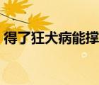 得了狂犬病能撐多久（得了狂犬病能治好嗎）