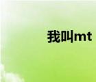 我叫mt 電影（我叫mt 炮姐）