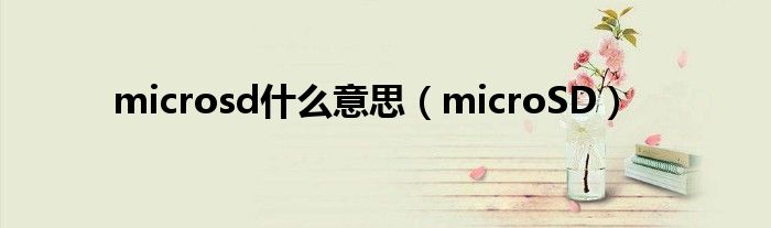 microsd什么意思（microSD）