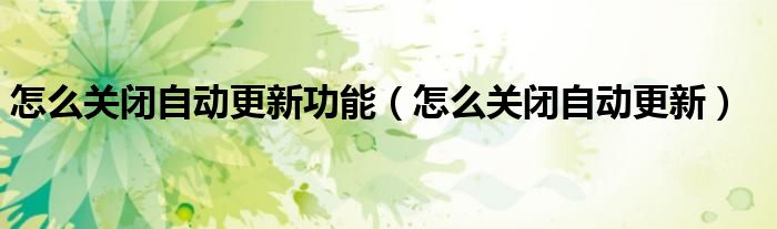怎么關(guān)閉自動更新功能（怎么關(guān)閉自動更新）