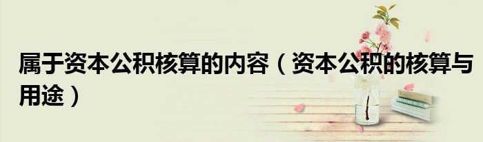 屬于資本公積核算的內(nèi)容（資本公積的核算與用途）