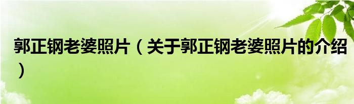 郭正鋼老婆照片（關(guān)于郭正鋼老婆照片的介紹）