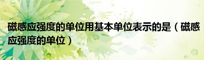 磁感應(yīng)強(qiáng)度的單位用基本單位表示的是（磁感應(yīng)強(qiáng)度的單位）
