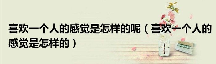 喜歡一個(gè)人的感覺是怎樣的呢（喜歡一個(gè)人的感覺是怎樣的）