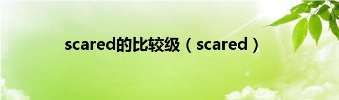 scared的比較級(jí)（scared）