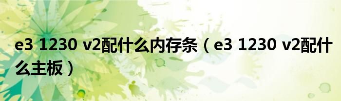 e3 1230 v2配什么內(nèi)存條（e3 1230 v2配什么主板）