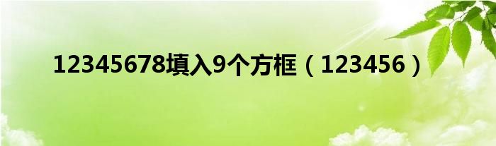 12345678填入9個方框（123456）