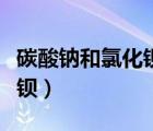 碳酸鈉和氯化鋇反應(yīng)生成什么（碳酸鈉和氯化鋇）