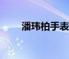 潘瑋柏手表是那個(gè)歌（潘瑋柏手表）