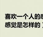 喜歡一個(gè)人的感覺是怎樣的呢（喜歡一個(gè)人的感覺是怎樣的）