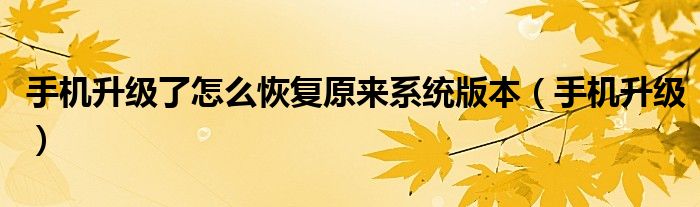 手機升級了怎么恢復原來系統(tǒng)版本（手機升級）