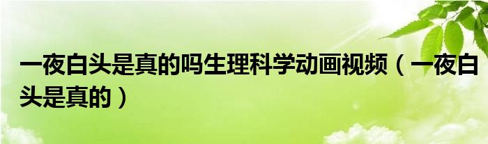 一夜白頭是真的嗎生理科學(xué)動(dòng)畫視頻（一夜白頭是真的）