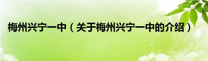 梅州興寧一中（關(guān)于梅州興寧一中的介紹）