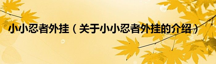 小小忍者外掛（關(guān)于小小忍者外掛的介紹）
