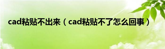 cad粘貼不出來（cad粘貼不了怎么回事）