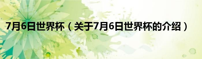 7月6日世界杯（關(guān)于7月6日世界杯的介紹）